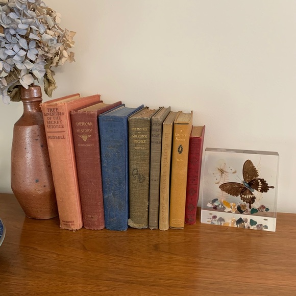 Vintage Lucite Pressed Butterfly Decor - Picture 4 of 11